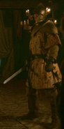 Renly's Kingsguard 2