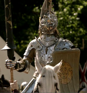 Loras's custom tournament armor in Season 1 - said to be very expensive and not typical. It is covered with ornate filigree and a repeated Tyrell flower motif.