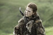 307 Ygritte