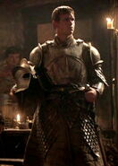 A Kingsguard holding his distinctive helmet.