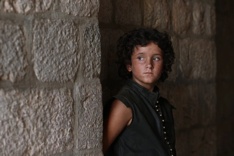 LittleBird Кто такие пташки вариса