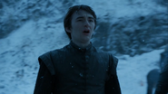 Bran surrounded by the White Walker army