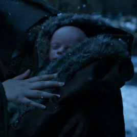 Famtree-BoltonNewborn