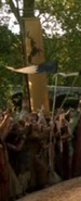 Long banner of House Baratheon at the Tourney of the Hand in "The Wolf and the Lion".