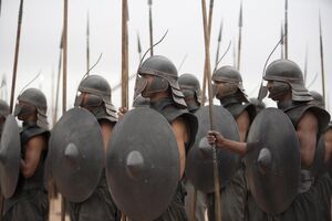 310 Unbefleckte.jpg