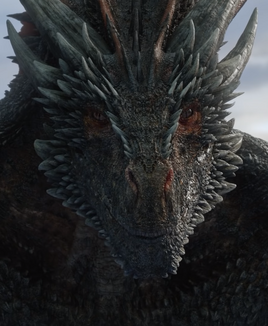S8 Drogon