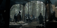 Cole preparing his forces to attack in daylight.