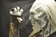 Behind-the-scenes closeup of White Walker prosthetics