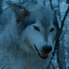 Famtree-NymeriatheDirewolf.png