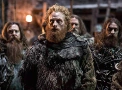 Wildling-Portal