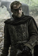 Promo image of Beric in Season 6.