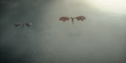 Flying to King's Landing for the royal wedding.