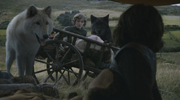 Rickon wakes up shocked