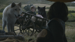 Rickon wakes up shocked