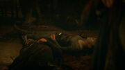 Robb falls dead