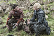 503 Brienne von Tarth Podrick Payn