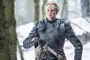Brienne Mother's Mercy
