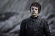 707 Theon Greyjoy 1