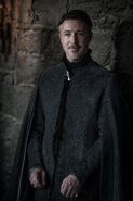 707 Petyr Baelish 2