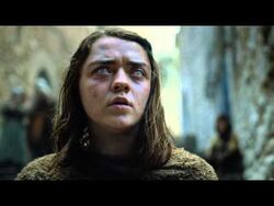 The Red Woman Wiki of Westeros Fandom