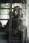 Jaqen H'ghar in "The Night Lands."