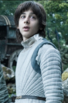 Lord Robin Arryn (head of House Arryn; underage)
