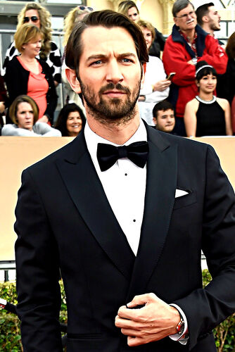 Michiel Huisman