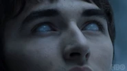 Bran recieves a vision.