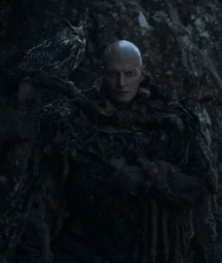 wallpapers Thenn Got thenn warg game of thrones wiki fandom