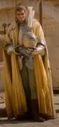 A Baratheon tourney knight in "The North Remembers"