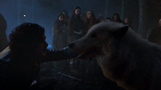 S04E5 - Jon Snow & Ghost