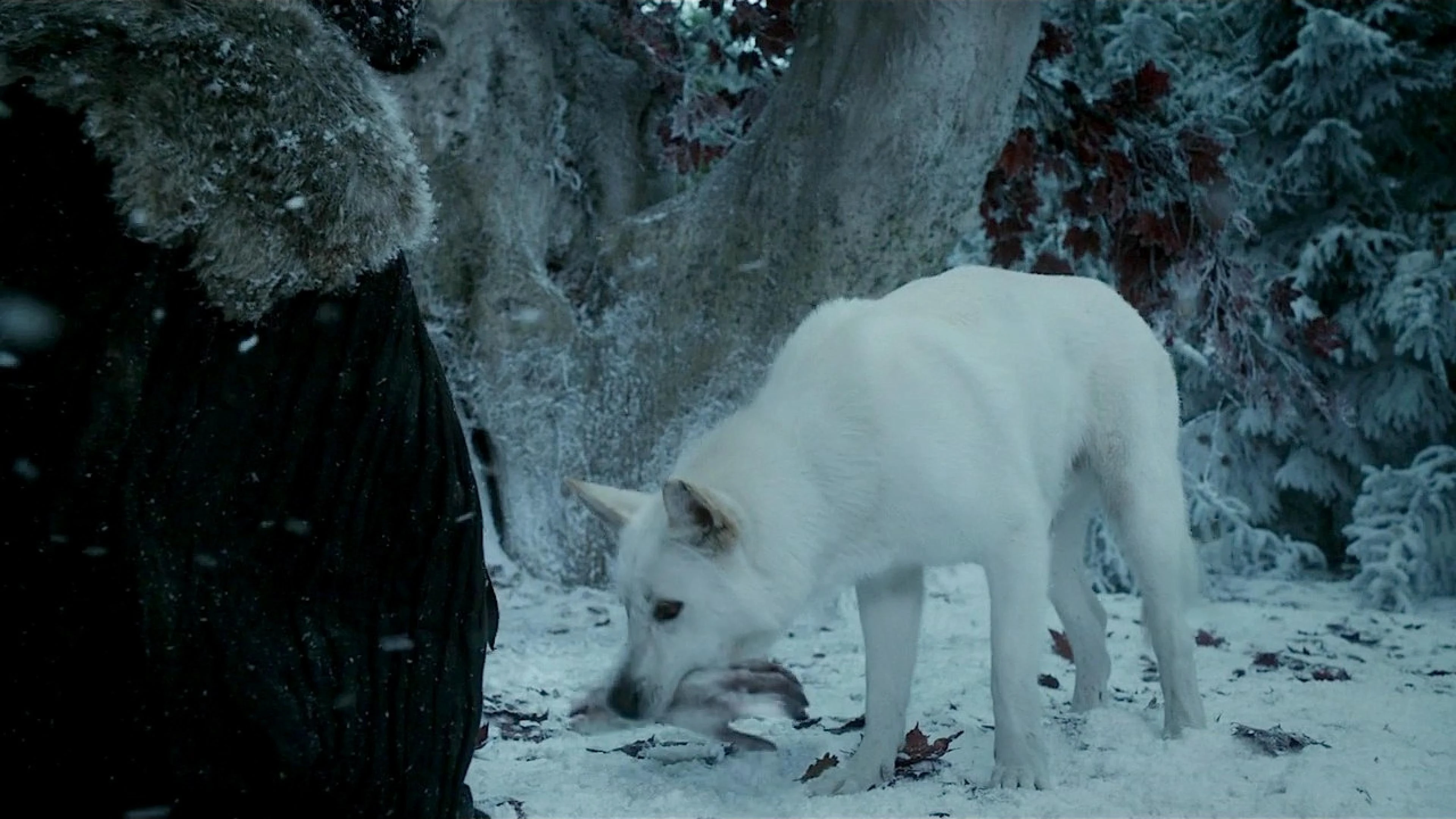 Волк анвап. Белый клык нетфликс. Волк анвап. Волк фэнтези. Волк анвап.