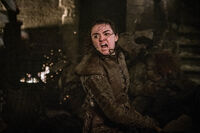 Arya S8 Ep3