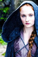 Sansa en route to the Eyrie