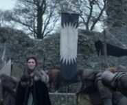 The banner of House Karstark at the Stark camp in "Fire and Blood".