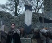 Karstark banner in a Northern army camp