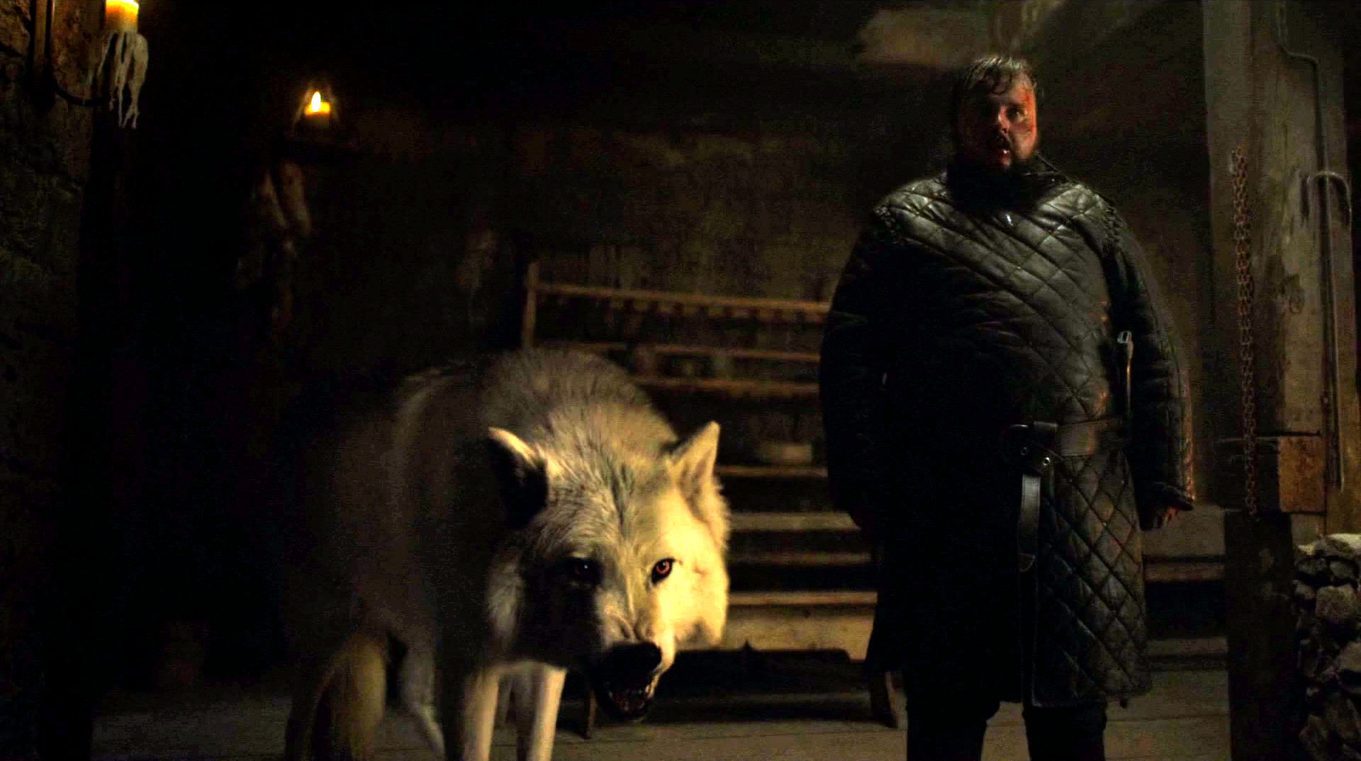 Game Of Thrones: Albino Arctic Wolf That Played Ghost Has Passed Away