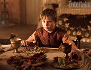 Promotional photo of Tommen Baratheon.