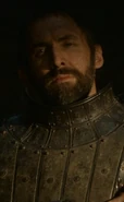 101 Charakter-Gregor-Clegane.png (218 KB)