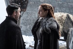 703 Sansa und Petyr