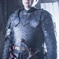 カテゴリ バラシオン家 ゲームオブスローンズ Wiki Fandom