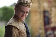 Joffrey at his wedding in "The Lion and the Rose".