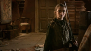 Arya and Needle