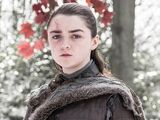 Arya Stark