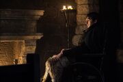 S 7 ep8 bran finale