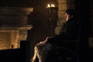 S 7 ep8 bran finale