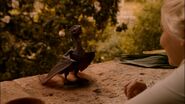 Drogon eats