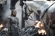 Arya & Horse S8 Ep5