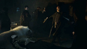 Ghost stands beside Jon's corpse as Davos prepares to fight.