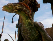 A growing Rhaegal awaits for his mother's instructions.